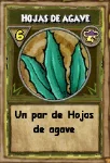 Hojas de agave