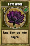 Loto Negro recolectable de Wizard101